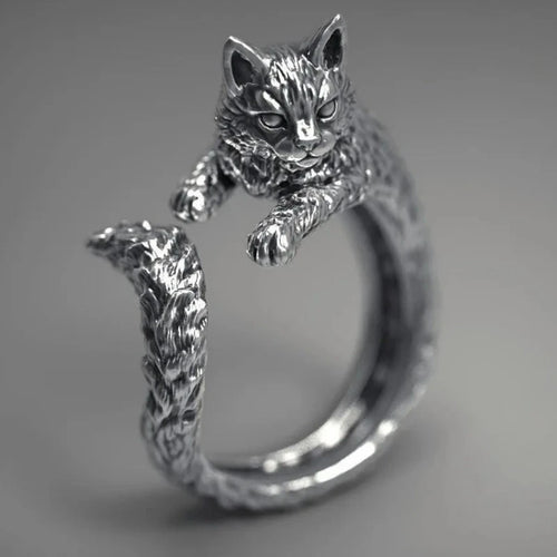 Ring Hauskatze