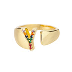 Personalisierter breiter Ring mit Regenbogen-Initiale y