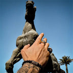 Ring Fleur de Lys Siegelring