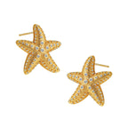 Ohrstecker Muschel Seesterne Damen