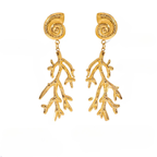 Hängende Ohrringe mit Muschel und Koralle